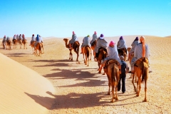 itinerary_jaisalmer_samsanddunes Best of North India Tour Package