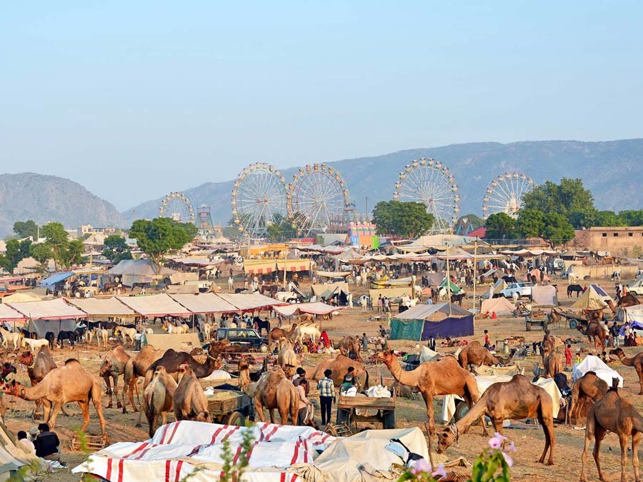 itinerary_pushkar_pushkarfair