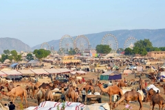 itinerary_pushkar_pushkarfair Best of North India Tour Package