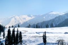 natural-scene-mountain-shimla_14349-22 HIMACHAL 11NIGHT/12 DAYS  TOUR PACKAGE
