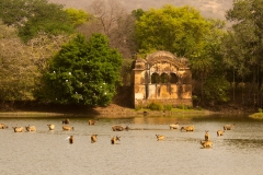 itinerary_ranthambore_2 Jaipur Ranthambore Day Trip