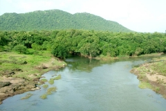 itinerary_gir_park 9 Days Best of Gujarat with wildlife Tour Package