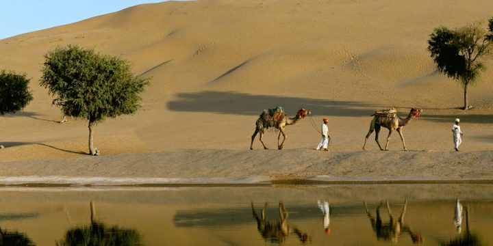 Exotic Rajasthan Tour package